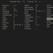 Gnu Screen Basic Demo