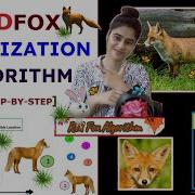 Red Fox Optimization Algorithm Step By Step With Example XRay Pixy