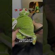 Turtle Evolution