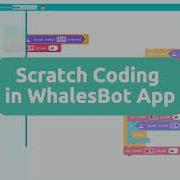 How To Scratch Coding Using WhalesBot Coding Software STEM Coding Robot Tutorial