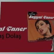 Seyyal Taner Sarmaş Dolaş