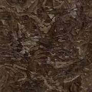 The Emerald Ash Borer Kentucky Life KET