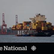 B C Port Strike Ends But It Will Take Weeks To Clear The Backlog Of Goods