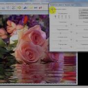 Создание анимации в программе Sqirlz Water Reflections