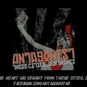 Antagonist AD Show Some Heart Go Vegan