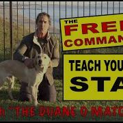 Teach Your Dog To STAY The FREE Command The Release Dog Training Video