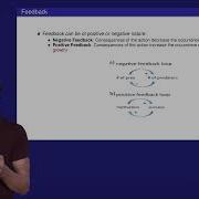 Module 7 Features Of Complex Adaptive Systems Feedback