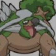 Torterra And Blastoise Tribute Vote For The Winner