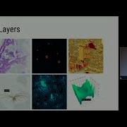 Large Scale Data Visualisation With Deck Gl And Shiny