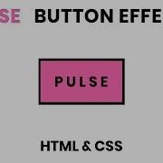 CSS Pulse Button On Hover Effects Using Html CSS
