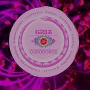 Falling Flying 360 Lyric Video Best Song From GRiZ S New Album Ouroboros