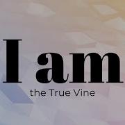I AM Part 7 The True Vine