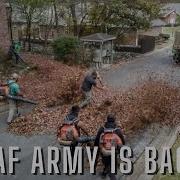 INSANE Amount Of Leaves LEAF MAYHEM 52 Yards In 1 HOUR NEW TRUCKS And Equipment Beautiful CHAOS