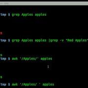 Finding Some Words And Not Other With GREP Or AWK BASH Linux