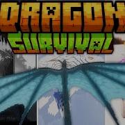 Play As A Dragon Dragon Survival Guide