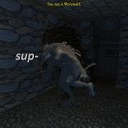 TES II Daggerfall Unity D R E A M 10 Minutes Of Dying And Reloading And WEREWOLVES