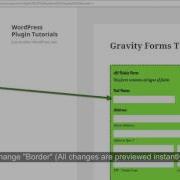 Easiest Way To Add Border Of Text Field Within Gravity Forms