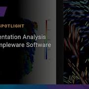 Fiber Orientation Analysis Using Simpleware Software