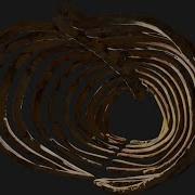 RaYRoD S MultiVerse Dynamic Bones Rig Variant 1 Test