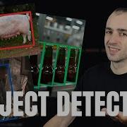 Identify Any Object With Python Beginner Guide