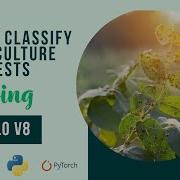 Image Classification Using YoloV8 Model On Custom Dataset Agricultural Pests