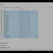 Backup Restore PostgreSQL Using Pgbasebackup In Windows Server 2019