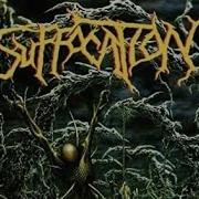 SUFFOCATION DEPTHS OF DEPRAVITY Drum Cover