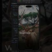 Animated Onboarding Screen In Flutter Wild Animals Wallpaper App UI Flutter Tutorial 2025