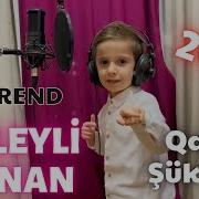 Qalib Sukurov Le Leyli Canan Dəli 2023