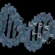Journey Inside The Cell
