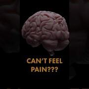 This Is The REAL Reason Headaches Hurt