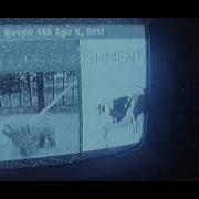 Cow Error 118 On The 1984 TV