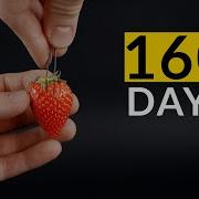 STRAWBERRY From Seed Time Lapse 160 Days