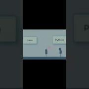 Python Vs Java Funny Video Programmer Family