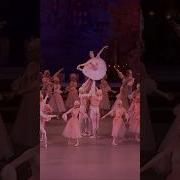 Nutcracker Ballet Shorts