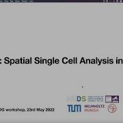 Workshop Spatial Transcriptomics Data Analysis In Python 1 1 Squidpy