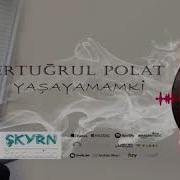 Ertuğrul Polat Yaşayamamki 2020