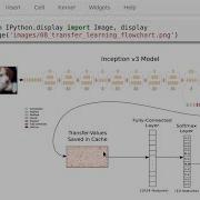 TensorFlow Tutorial 08 Transfer Learning