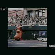 Ivy Lab Gutted Official Audio