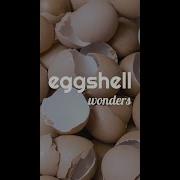 EggShell Wonders By Äerd Lab
