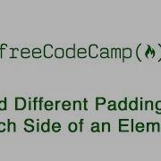 Basic CSS Add Different Padding To Each Side Of An Element FreeCodeCamp