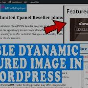 How To Enable A Dynamic Featured Image In WordPress