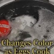 EggPerfect Egg Timer