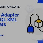 JDBC Adapter Of SAP Integration Suite JDBC Security Material Adapter Config SQL XML Formats