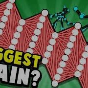 BIGGEST BRAIN EVER WALKING HUMAN Neural Network MAXED Evolution Simulator Evolution Gameplay