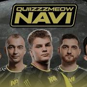 Quiizzzmeow NaVi макфлури
