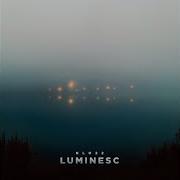 Mist
