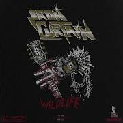 Iron Curtain Wildlife Lyric Video