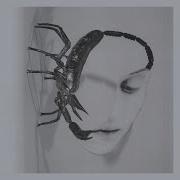 Tortoise Touch 2025 Full Album