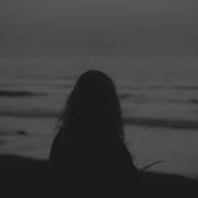 Blackbird Deep Rain